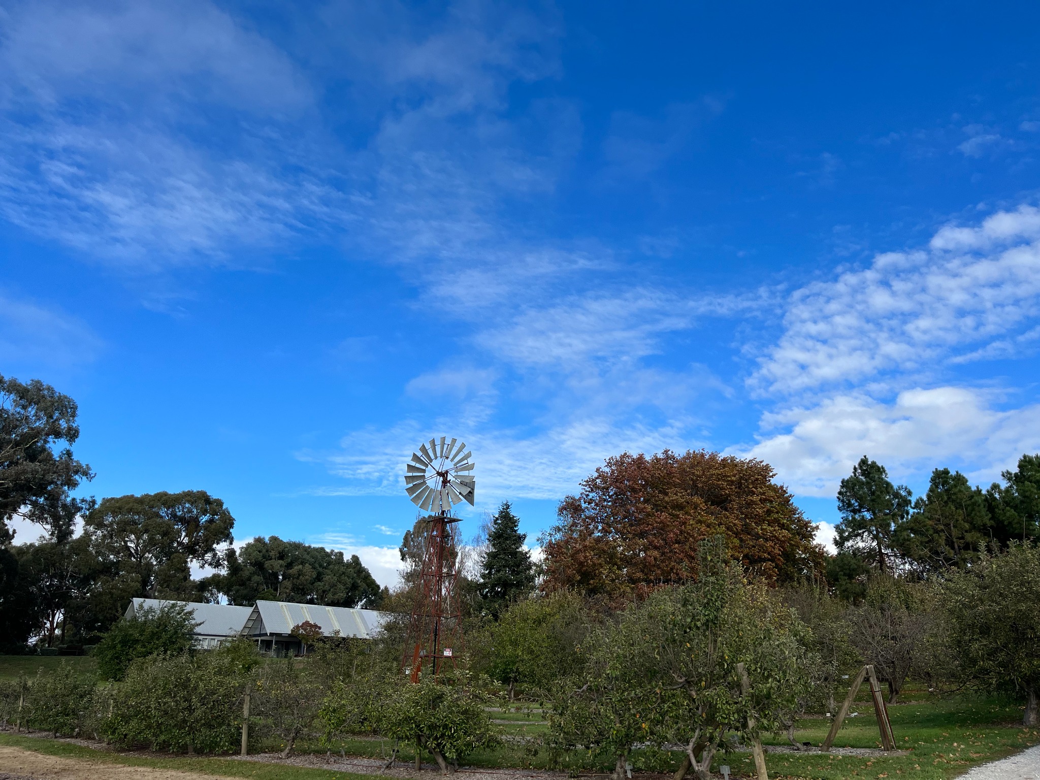 Windmill and gardens at Orange Botanic Gardens
